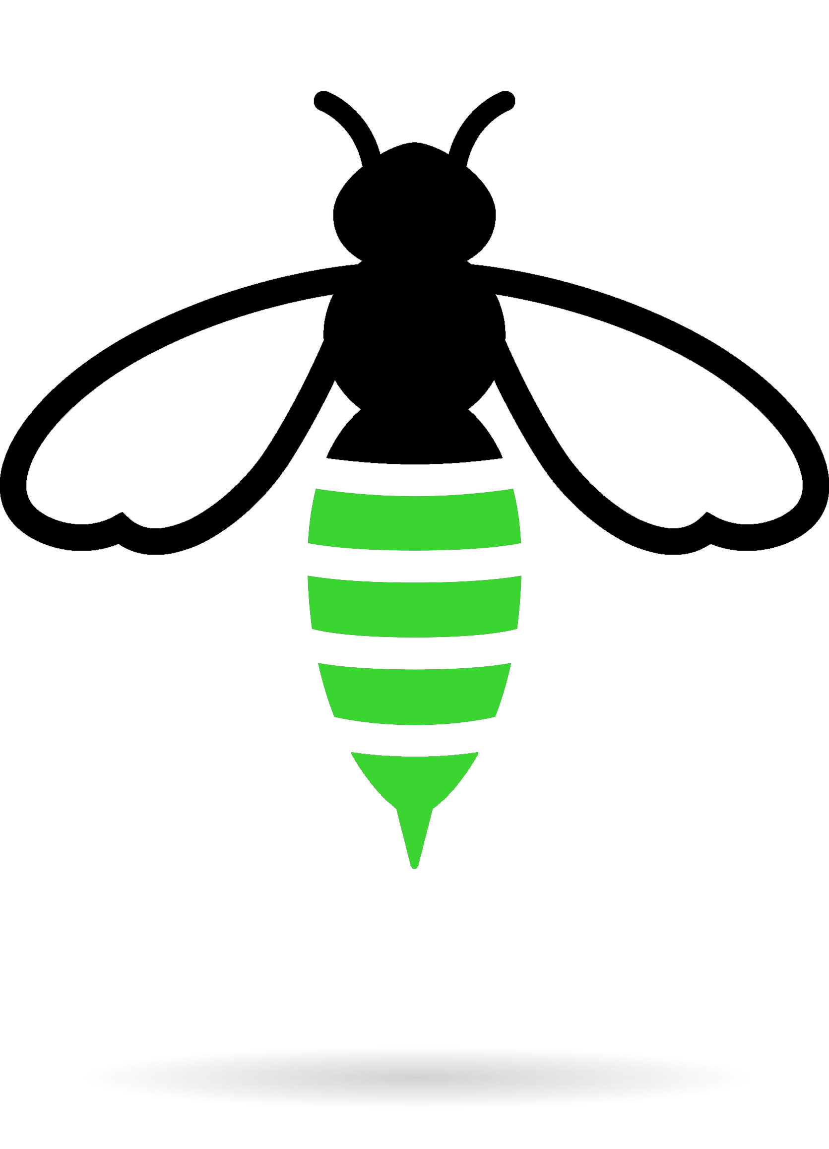 bee